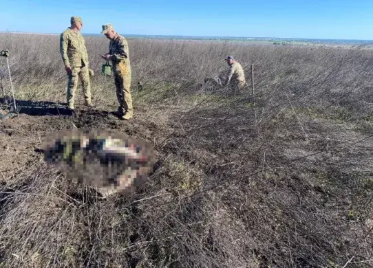 На Харківщині загинули двоє чоловіків від вибухонебезпечного пристрою