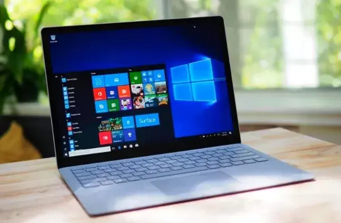 Windows 11