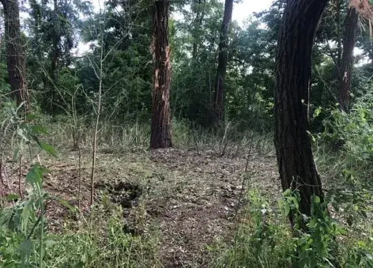 На Харківщині від обстрілів постраждали двоє цивільних, ще один підірвався на міні
