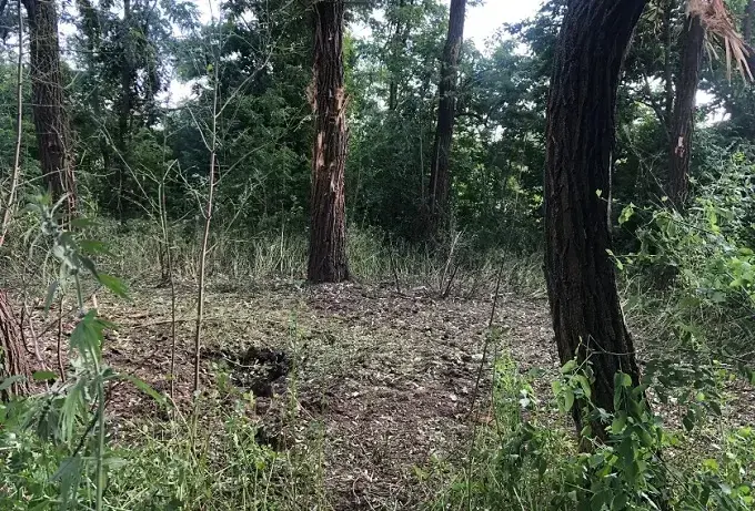 На Харківщині від обстрілів постраждали двоє цивільних, ще один підірвався на міні