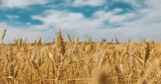 Подорожі без турбот: вигоди та переваги страхування для туристів в Україні