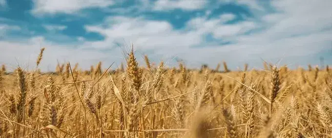 Подорожі без турбот: вигоди та переваги страхування для туристів в Україні
