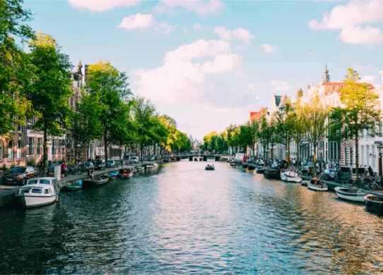 Современные требования и тенденции в трудоустройстве в Нидерландах