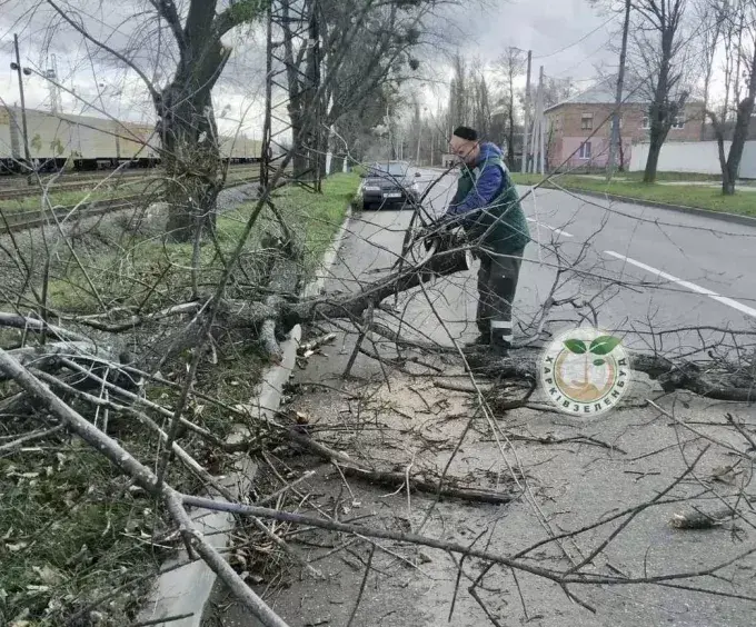 У Харкові сильний вітер повалив дерева