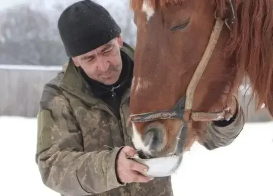 На Харківщині поліцейські взяли під опіку покинуту кінну ферму - власник втік в рф