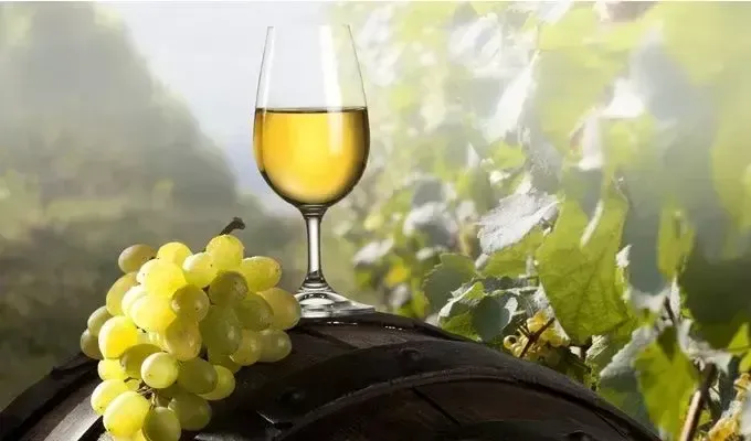 Французские вина. Фото rozetka.com.ua