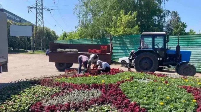 Терехов розповів, навіщо у Харкові саджають квіти під час війни
