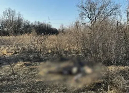 У Харкові з містянина вибивали борг битою та ломом - чоловік помер на місці