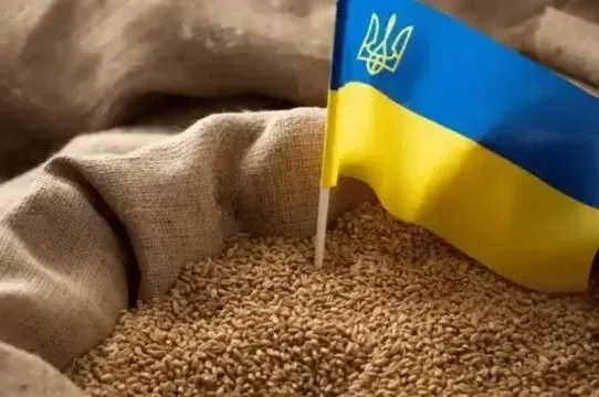 Зерно