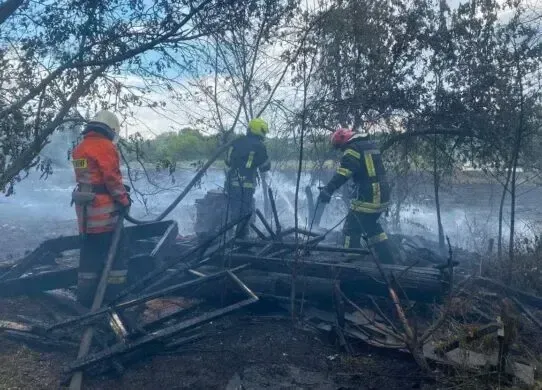 Масштабна пожежа у Харкові: рятувальники досі ліквідовують загоряння очерету