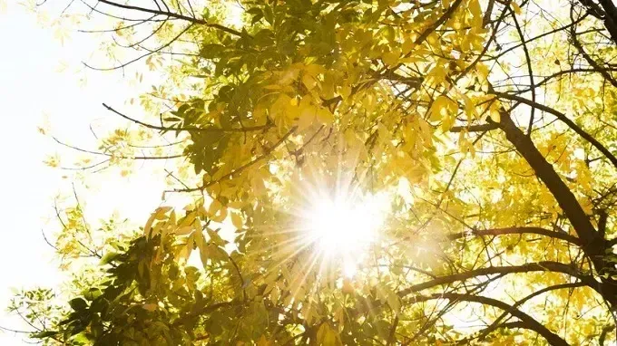 Погода на Харківщині 7 червня