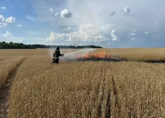 Окупанти цілеспрямовано вдарили по хлібному полю, щоб знищити врожай
