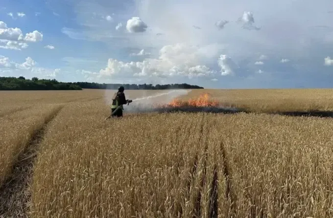 Окупанти цілеспрямовано вдарили по хлібному полю, щоб знищити врожай