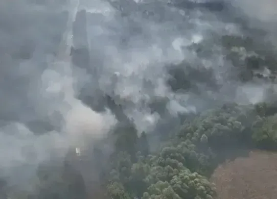 На Харківщині лісова пожежа триває вже дві доби