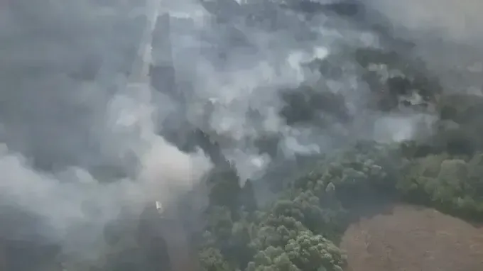 На Харківщині лісова пожежа триває вже дві доби