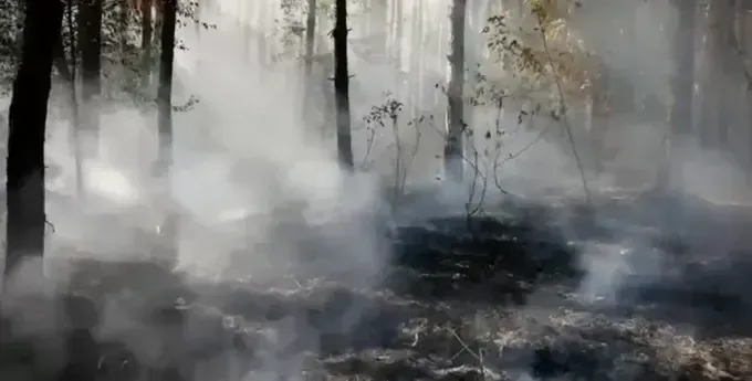 Масштабну пожежу на Харківщині гасили понад чотири доби