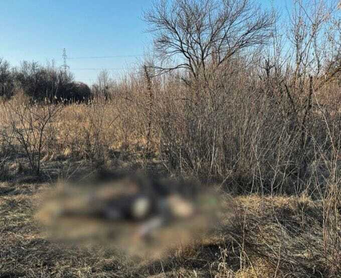 Правоохоронці затримали фігурантів, які у Харкові на замовлення жорстоко вбили людину