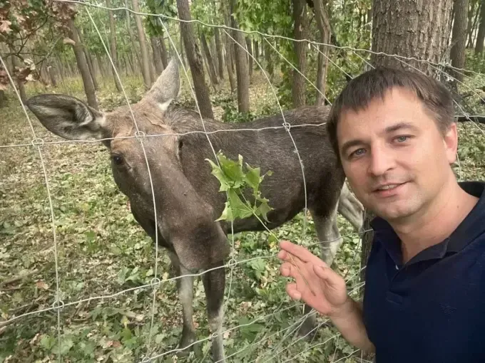 Через авіаудар біля Екопарку на Харківщині, ледь не загинула лосиха Люсі