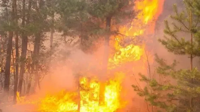 Обстріли КАБами, стан постраждалих у Харкові, масштабні пожежі - ситуація на Харківщині 17 вересня