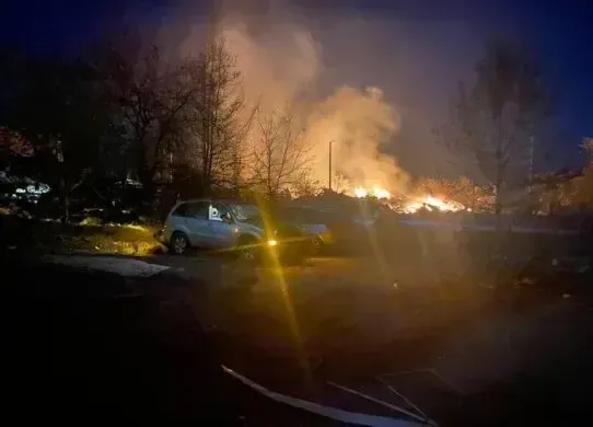 Вночі окупанти влучили у лісосмугу в Харкові та спричинили пожежу