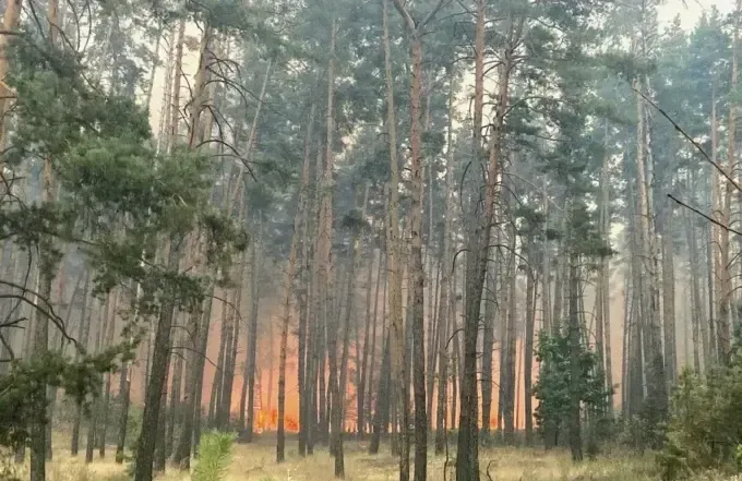 Харківська область бореться не тільки з обстрілами, але і з лісовими пожежами