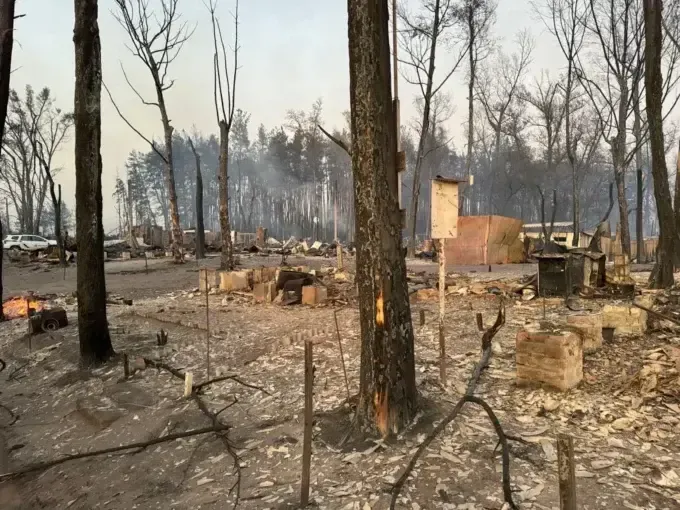 На Харківщині лісова пожежа спалила ціле селище, люди згоріли живцем