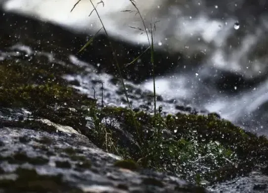 На Харківщині найближчими днями підвищиться рівень води