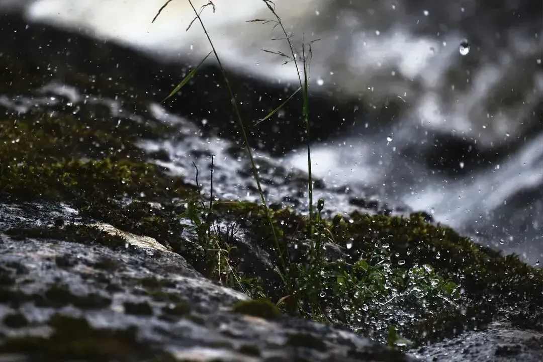 На Харківщині найближчими днями підвищиться рівень води