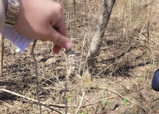 У Харкові 22-річний хлопець хотів повіситися та вбити себе