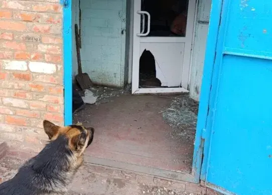 Обстріл пункту видачі гумдопомоги та вбивство цивільного: наслідки російського терору на Харківщині