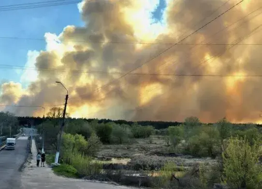 Величезна пожежа сталася на Харківщині - що горіло