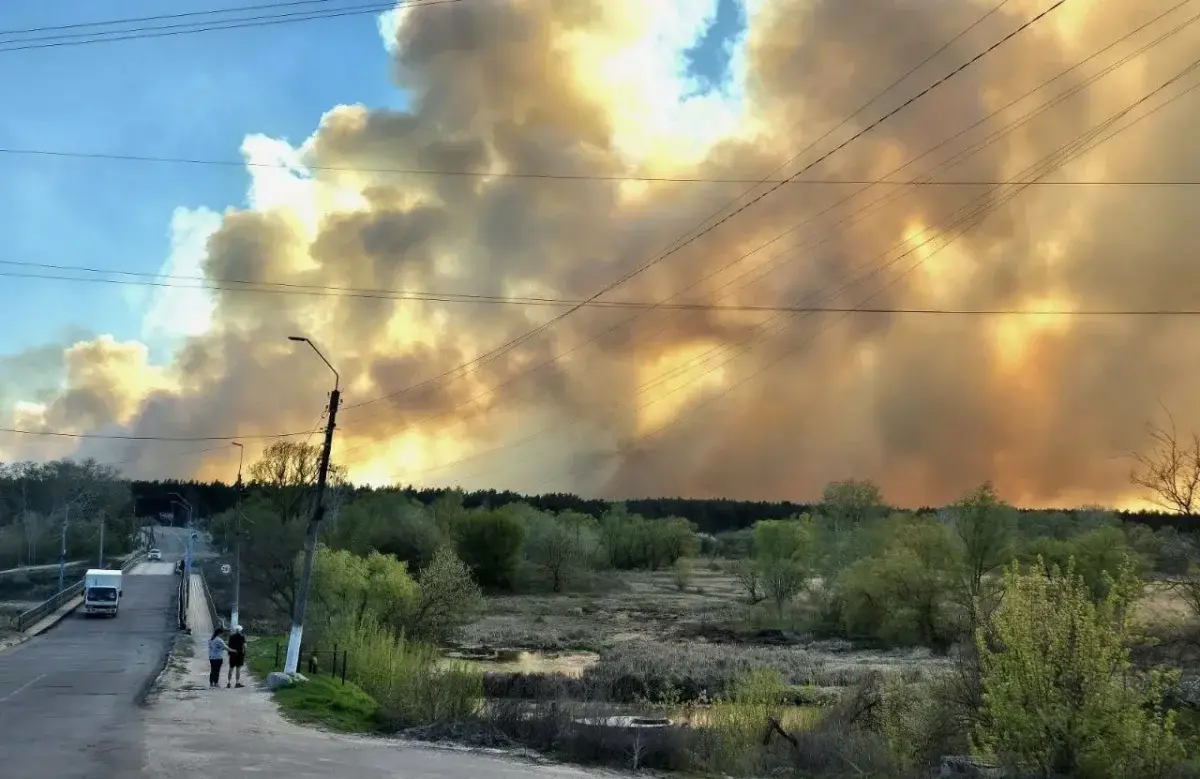 Величезна пожежа сталася на Харківщині - що горіло