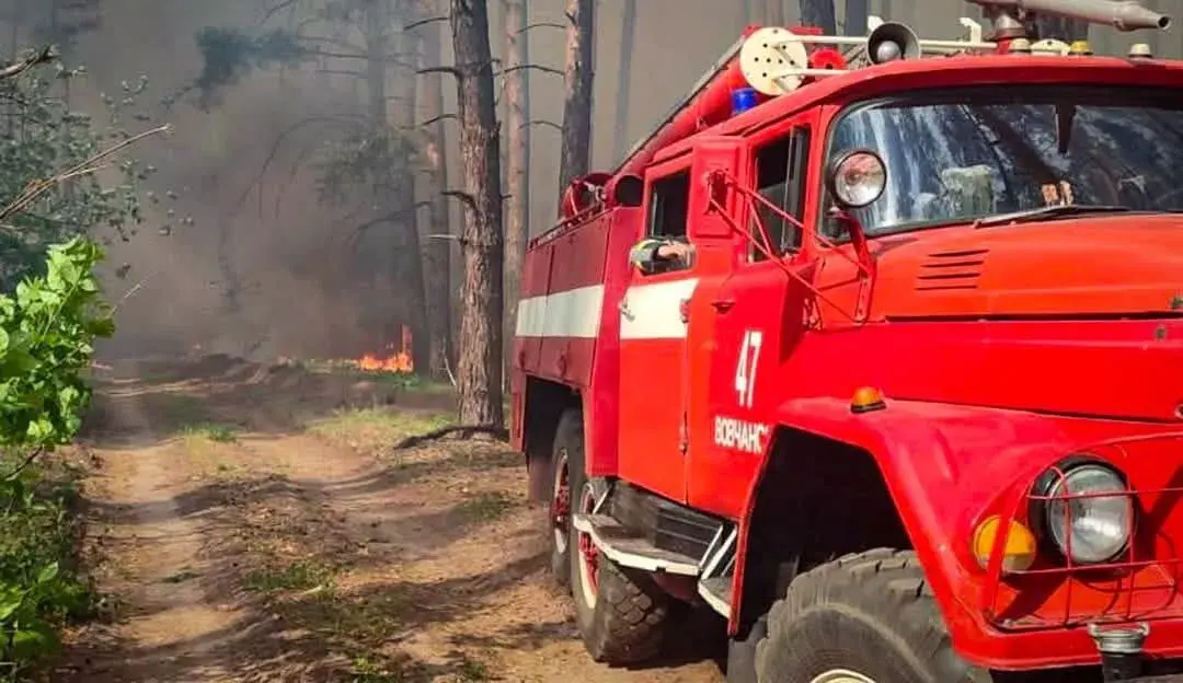 Лісова пожежа на Харківщині: до гасіння залучили 19 рятувальників та 8 працівників лісгоспу