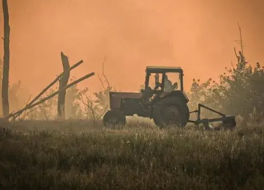 Палаюче поле в Харківській області після обстрілу — знищення врожаю