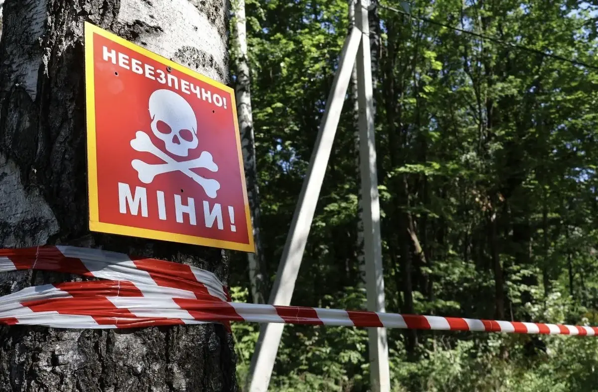 На Харківщині чоловік підірвався на міні, коли косив траву