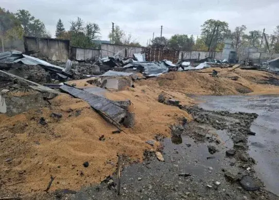 Росія завдала удару по агрофірмі у Харківській області