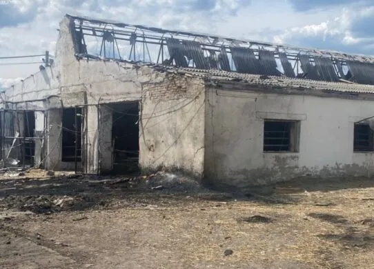 На Харківщині росіяни знищили ферму та вбили двох робітників