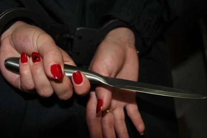 На Харківщині жінка зарізала чоловіка під час сварки