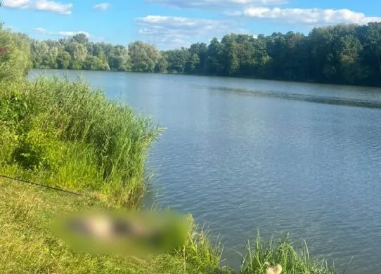На Харківщині під час риболовлі загинув чоловік від удару струмом