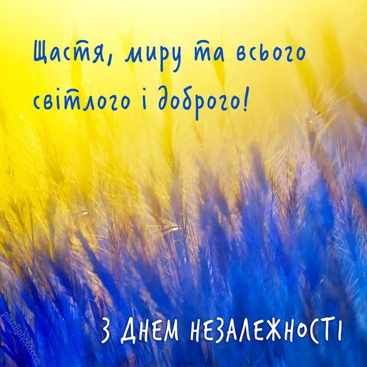 Лаконічна листівка з привітанням до Дня Незалежності України