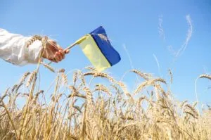 Чи буде вихідний на День Незалежності України 2026