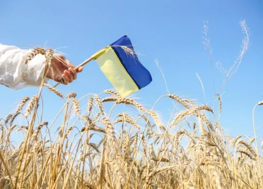 Чи буде вихідний на День Незалежності України 2026