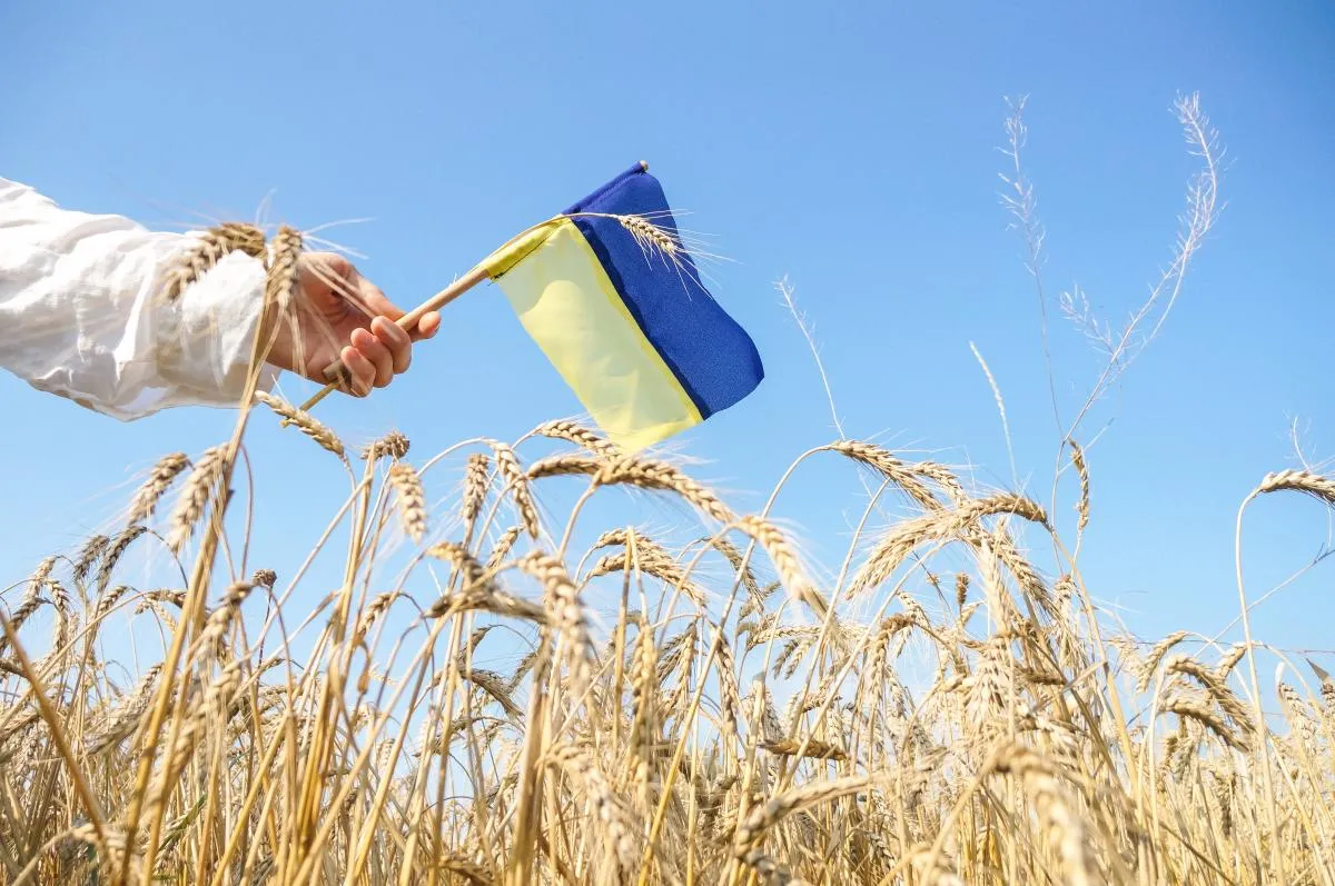 Чи буде вихідний на День Незалежності України 2026
