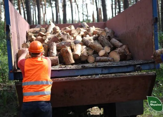 На Харківщині починаються проблеми з дровами: де їх купити