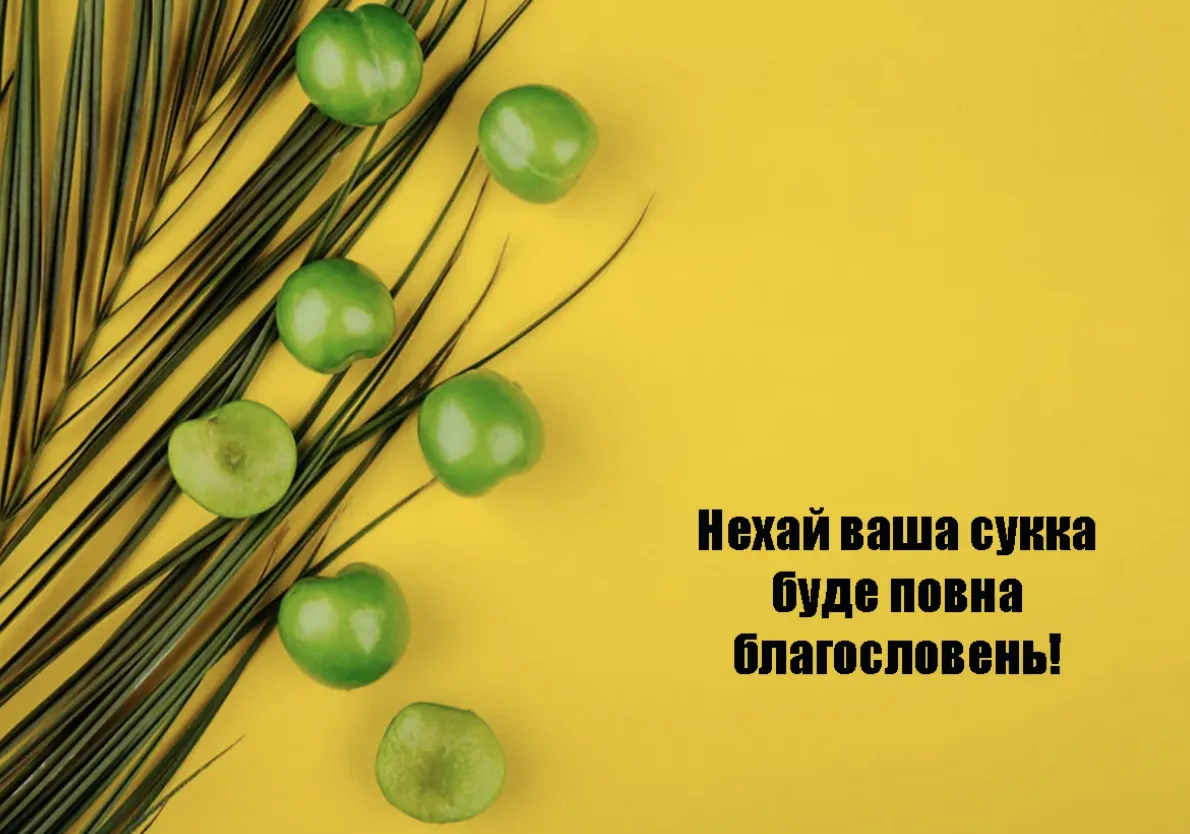 Свято Кущів уже на порозі: красиві привітання зі Суккотом 2026
