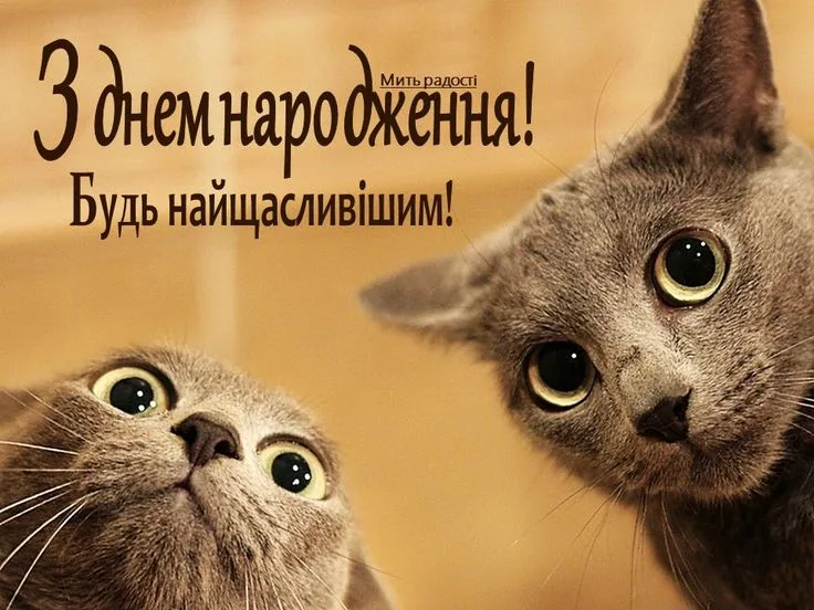 Величезна добірка прикольних привітань та листівок з Днем народження для друзів, колег та дітей